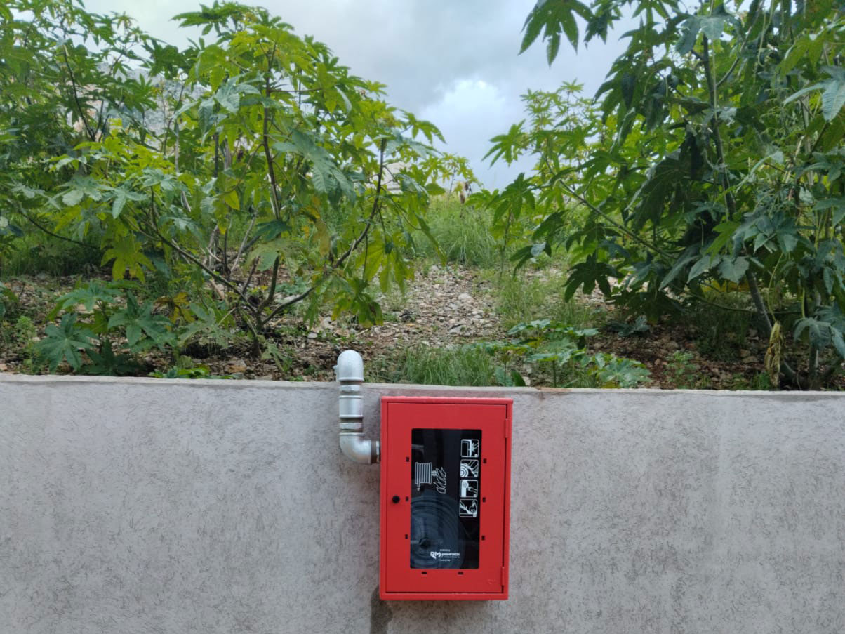 WhatsApp-Image-2025-01-16-at-17.53.01